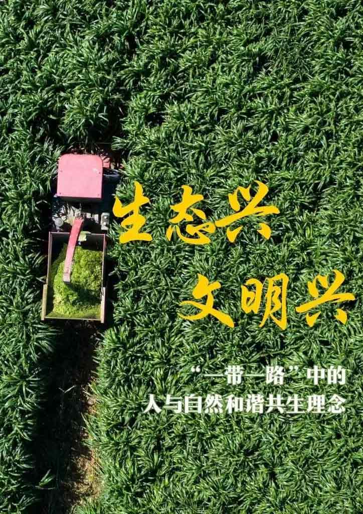 “一带一路”高峰论坛丨生态兴 文明兴，“这是一条绿色可持续发展之路”