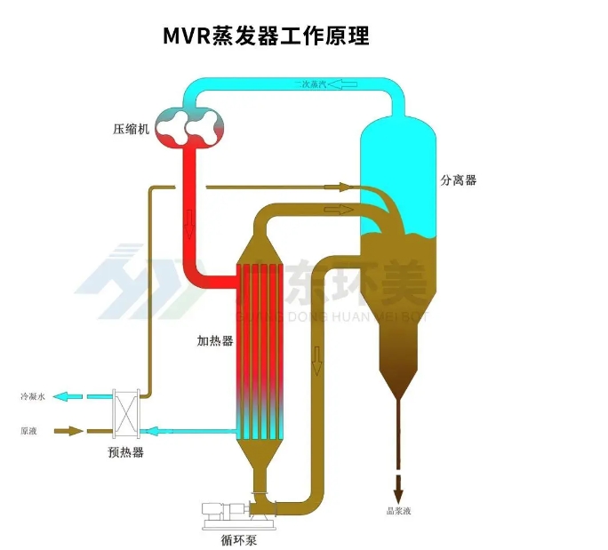 MVR蒸发器